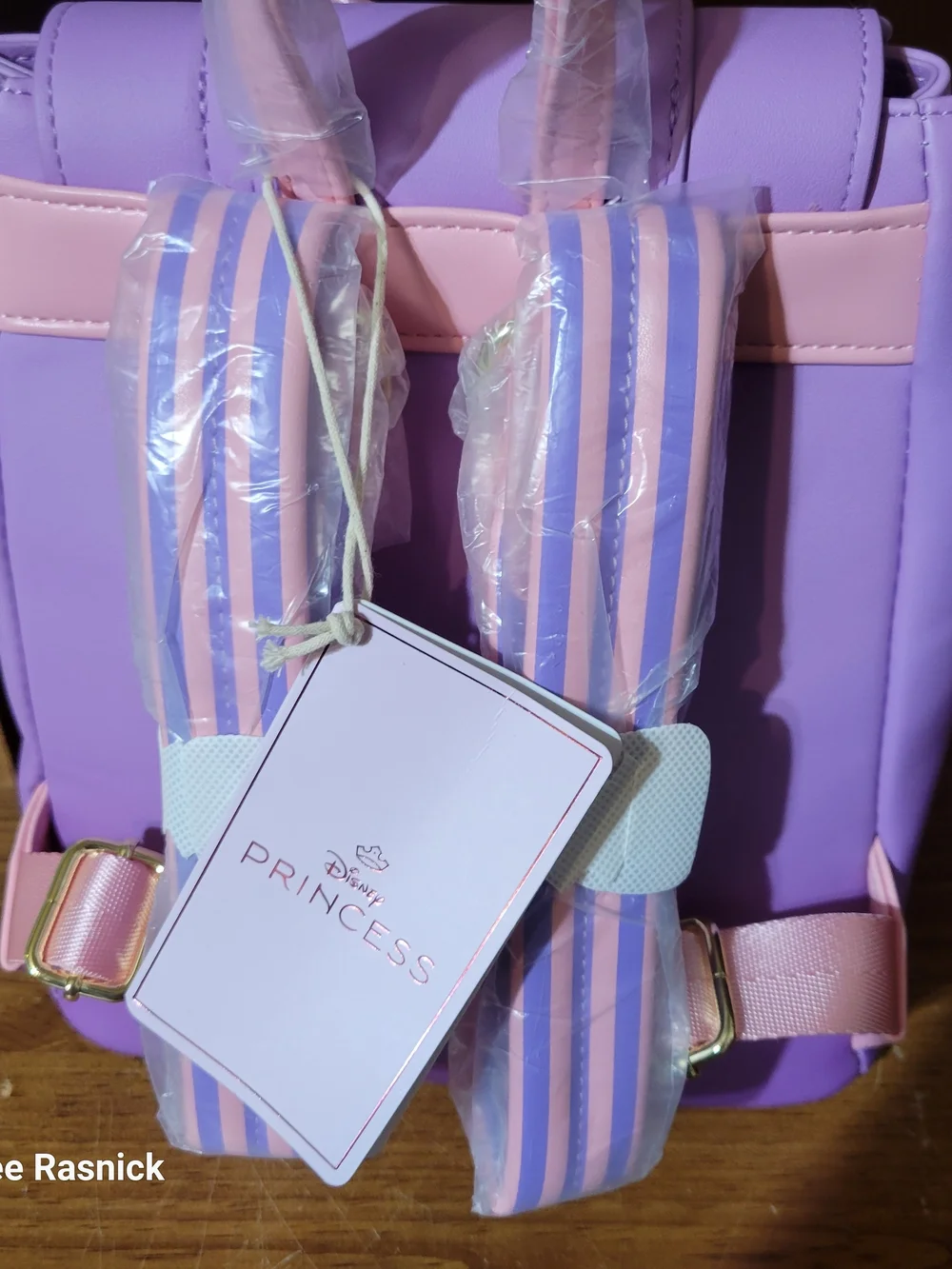 Loungefly Tangled Rapunzel Exclusive Floral Flap Mini Backpack with Coin Bag.